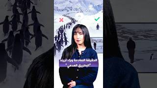 الحقيقة الصادمة وراء تريند البطريق العدمي thumbnail