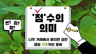 나무 점수? 쩐수? 쩜수? 나무 규격에 대한 용어 ‘R’에 대한 설명! (목대 굵기, 두께)(나무거래)
