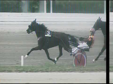 Trotto 08/09/2019 - 8ª corsa