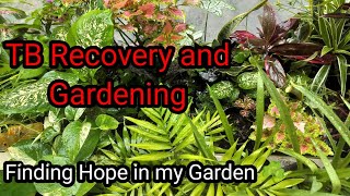 TB Recovery and Gardening | How Gardening saved my mental health during TB treatment Colours of life