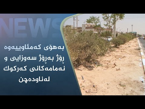 بەڤیدیۆ.. بەھۆی کەمئاوییەوە ڕۆژ بەڕۆژ سەوزایی و نەمامەکانی کەرکوک لەناودەچن