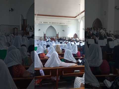 Hino 139 - Ó Senhor Tu me conheces #ccbhinos #musicosccb #ccb #hinosccb #hinosccborquestrado