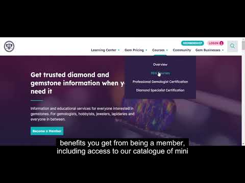 International Gem Society Website Tour 2022