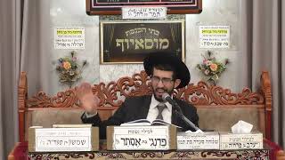 הרב נדב שריפי | מעניין פורים באגדה | מוסאיוף (בית הכנסת מוסאיוף) - התמונה מוצגת ישירות מתוך אתר האינטרנט יוטיוב. זכויות היוצרים בתמונה שייכות ליוצרה. קישור קרדיט למקור התוכן נמצא בתוך דף הסרטון