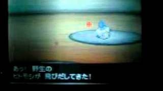 レパルダス ポケットモンスター キレイハナ トロッゴン ネマシュ レパルダス ポケットモンスター キレイハナ トロッゴン ネマシュ