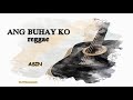 Ang Buhay ko - Asin karaoke reggae (karaoke version)