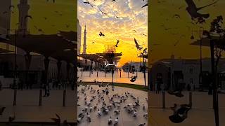 Download lagu Kalbil Nu Tai It Hallama...🤍🕊️ Slowed Reverb peace Of Heart #arabic #nasheed #ringtone #yt #shorts mp3