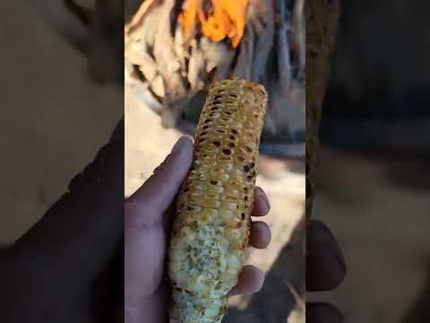 Kneel Down Bread - Nitsidigo'i'