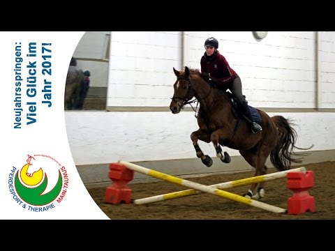 Neujahrsspringen 2017