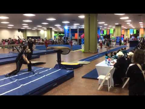 Panama Vault1 2015-01-23 - Amanda Arnold