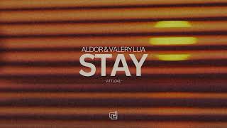 Aldor - Stay video