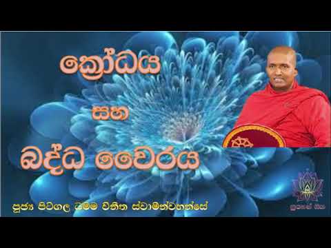 ක්‍රෝධය සහ බද්ධ වෛරය | Ven Pitigala Dhamma Vineetha Thero | Supahan Sitha