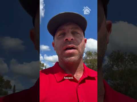 LRE Concrete Driveway Inspection: What We Look For | New Port Richey, FL