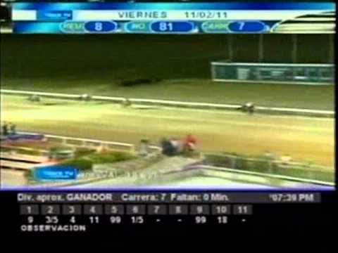 Resumen viernes 11 de febrero 2011 - Valencia