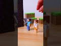 Minecraft Nether Portal Shorts