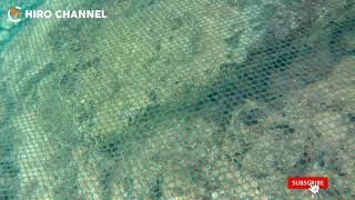 Download lagu fish trap (zonk) | मछली पाने में असफल | فشل في صيد الكثير من الأسماك | Не могу поймать много рыбы mp3 Download lagu fish trap (zonk) | मछली पाने में असफल | فشل في صيد الكثير من الأسماك | Не могу поймать много рыбы mp3