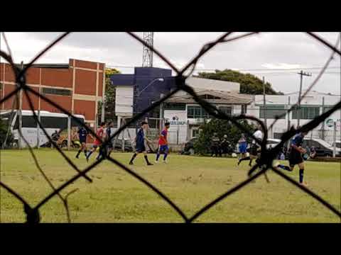jogo treino Sul Brasil x Pelotas