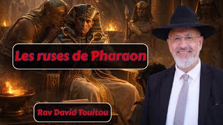 Les ruses de Pharaon (Chemot)..