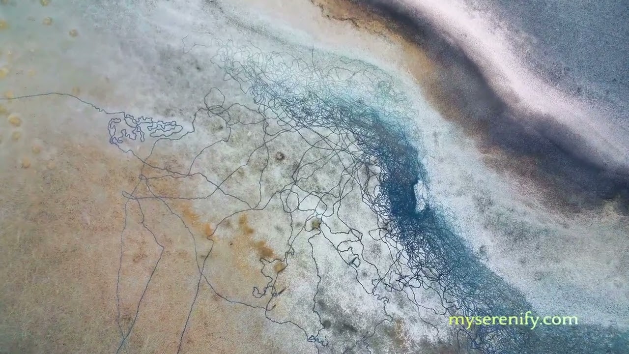 Exploring the Sounds: AI 'O' and 'Ay', ai o ay