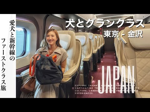 愛犬との旅行、気ままな休日をお過ごしください