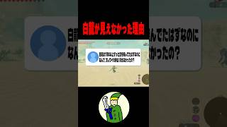 白龍はなぜ”ブレワイでは見えなかったのか”
