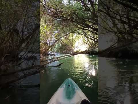 Misterios del RIO AZUL en el #parquenacional LAGO PUELO #kayak #verano 2024 #short #nature ARGENTINA