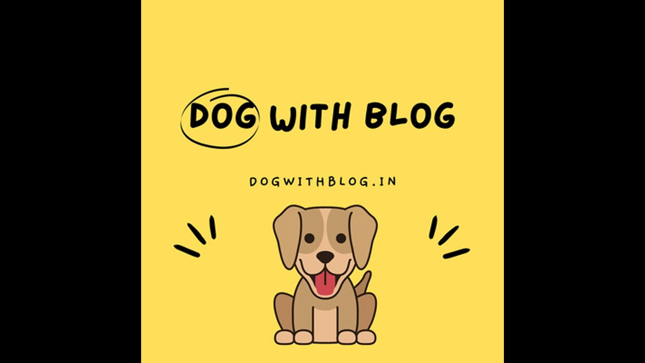 Remembering the hero dogs of 9/11