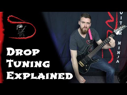 Drop Tunings Explained - Drop D, D standard,  Drop C, Drop B, Drop A, 7 string, and Drop L!