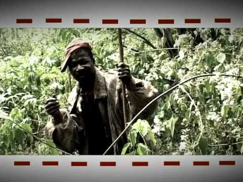 OB Jazz-le génie de ngbwa afup  (ça va se savoir)