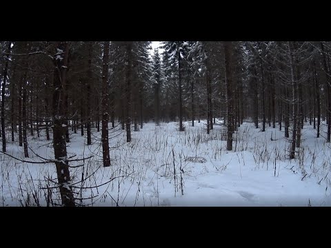 Metsolan Metsäkoulu 252 - Miten ajouran leveys ja ajouraväli mitataan?