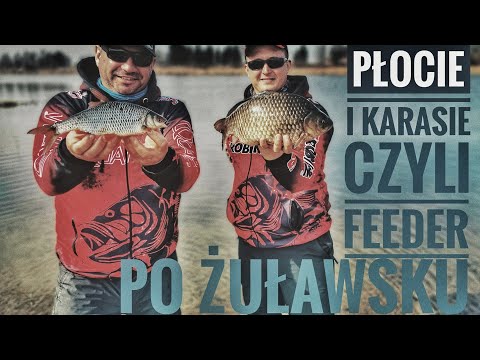 PŁOCIE and KARASIE na grunt, or FEEDER in Żuławy (English subtitles) / vLoG27