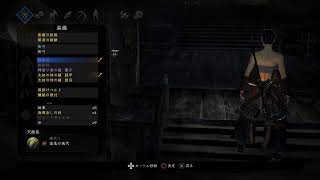 初見仁王2(フリプ仁王からの初心者)
