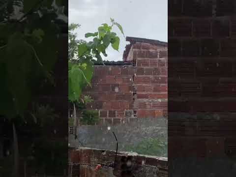 PEDRA LAVRADA PB 24/02/2026