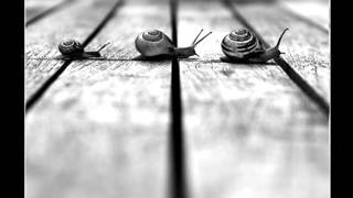 Lentezza.Piero Pelu'