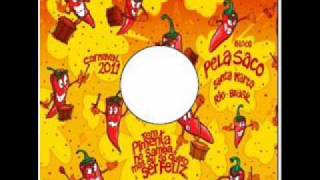 Pela Saco 2011 - Tem Pimenta no samba