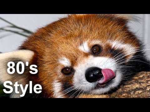 80s style of house/electro