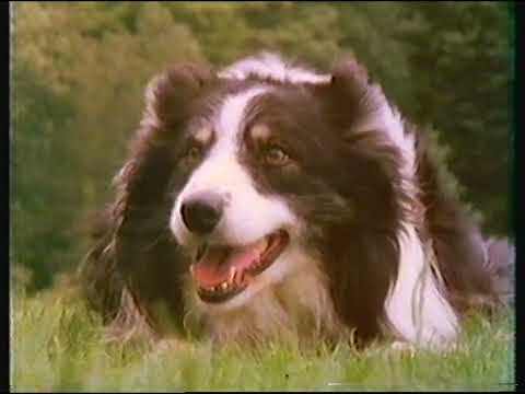 [720p/50p] BBC2 | continuity | 23rd March 1982