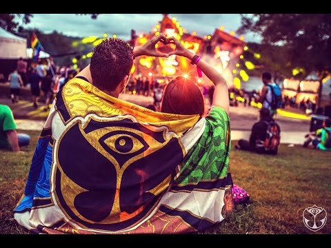 Calvin Harris, Alesso, Dubvision, Martin Garrix Style 2016 Melodic EDM Mix #001