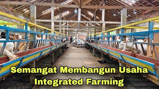 Download lagu The Spirit of Building an Integrated Sheep and Goat Farming Business mp3 Download lagu The Spirit of Building an Integrated Sheep and Goat Farming Business mp3