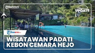 Libur Waisak 2022, Wisata Kebon Cemara Hejo yang Suguhkan Suasana Alam Dipadati Wisatawan