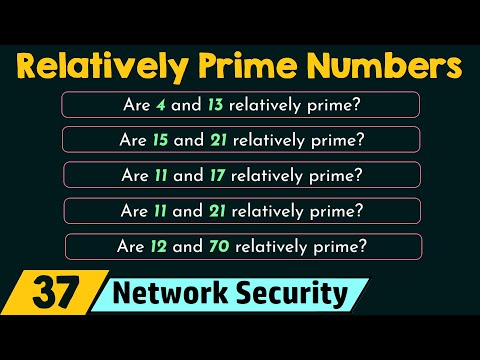 Relatively Prime Co Prime Numbers
