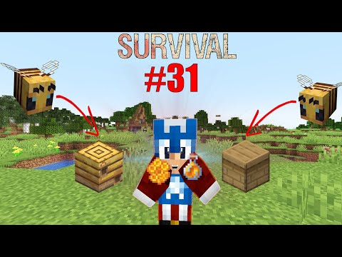 LA MIA SUPER FARM DI MIELE AUTOMATICA🐝 🤑- Minecraft ITA SURVIVAL #31