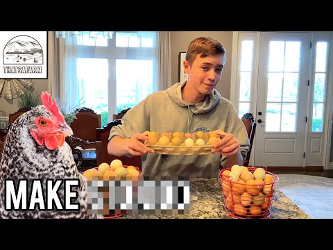 How To Make MONEY Raising Chickens | 3 Best Ways