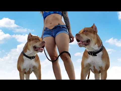 This Is Why Dogs Makes Us More Attractive