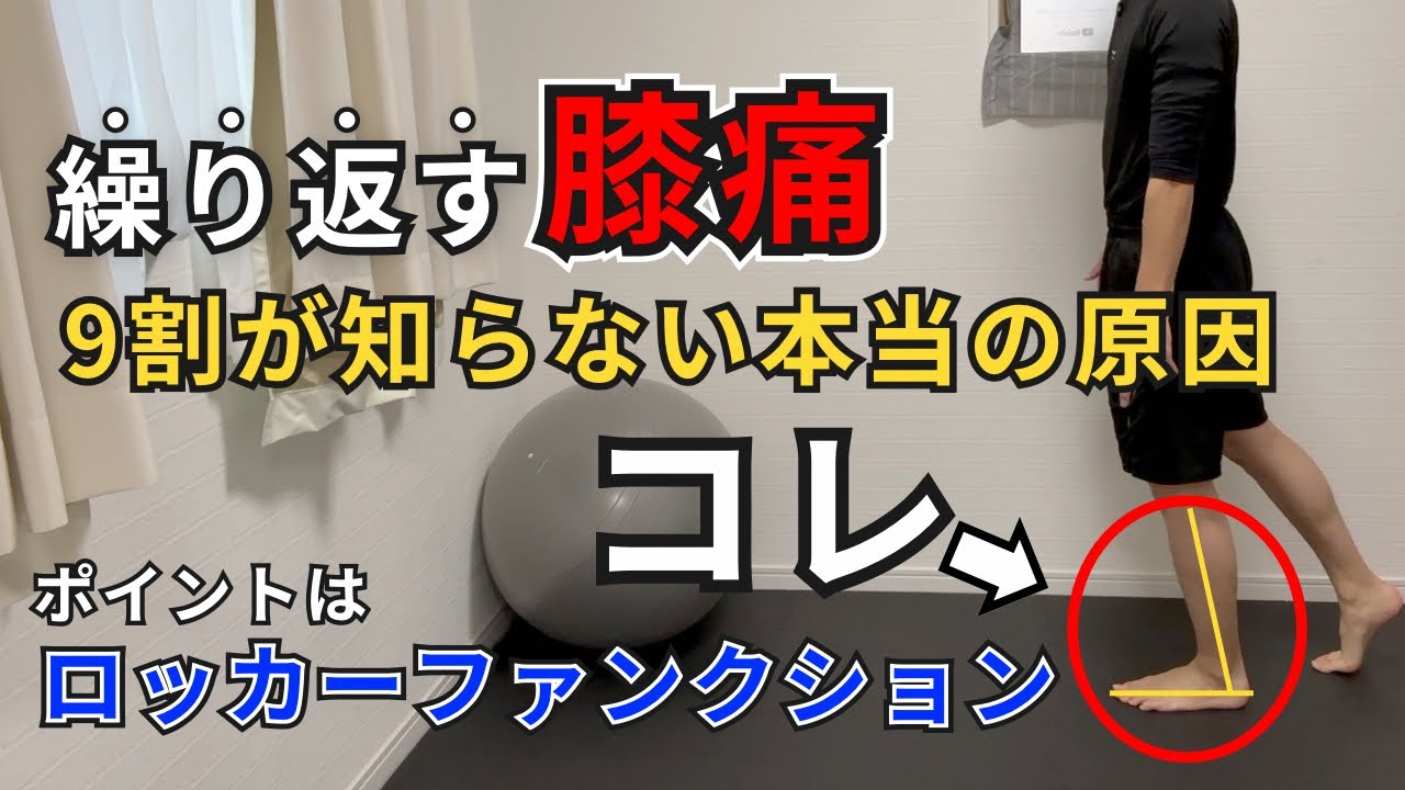 膝の痛みを治す前脛骨筋のセルフケア！前脛骨筋が硬いと膝はねじれて傾いてどんどん痛みが悪化する…