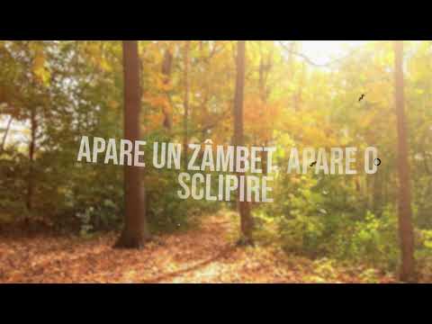 Stefan B. - Septembrie cu Noi (Official Lyrics Video)