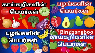 பழங்கள் மற்றும் காய்கறிகள் அதன் பெயர் #fruits & vegetables name #lkg syllabus  @bingbangboo1562