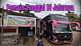 Download lagu Tickets Only Rp. 425,000 ‼️ Tunggal Jaya Palembang - Cirebon - Kuningan ‼️ Singles Players On The... mp3