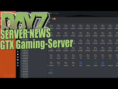 Noch mehr Power auf dem DayZ-Server? So geht es | ⭐ 99DEZIBEL-TUTORIAL ⭐