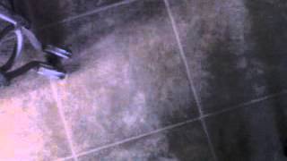 You don't seem to miss me